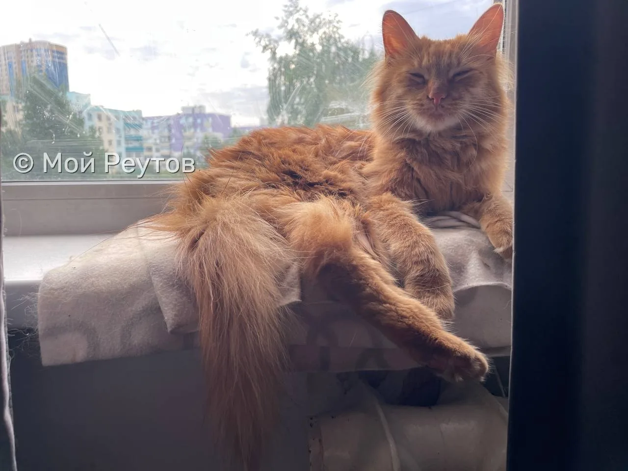 🐈 Миша дома! Спасибо всем, кто помогал в поисках 💕

#Реутов

«Мой Реутов» в MAX:
https://max.ru/re