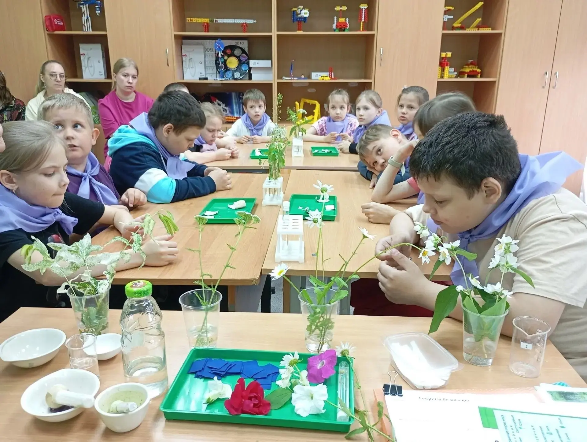 ПОЛЕЗНЫЕ КАНИКУЛЫ