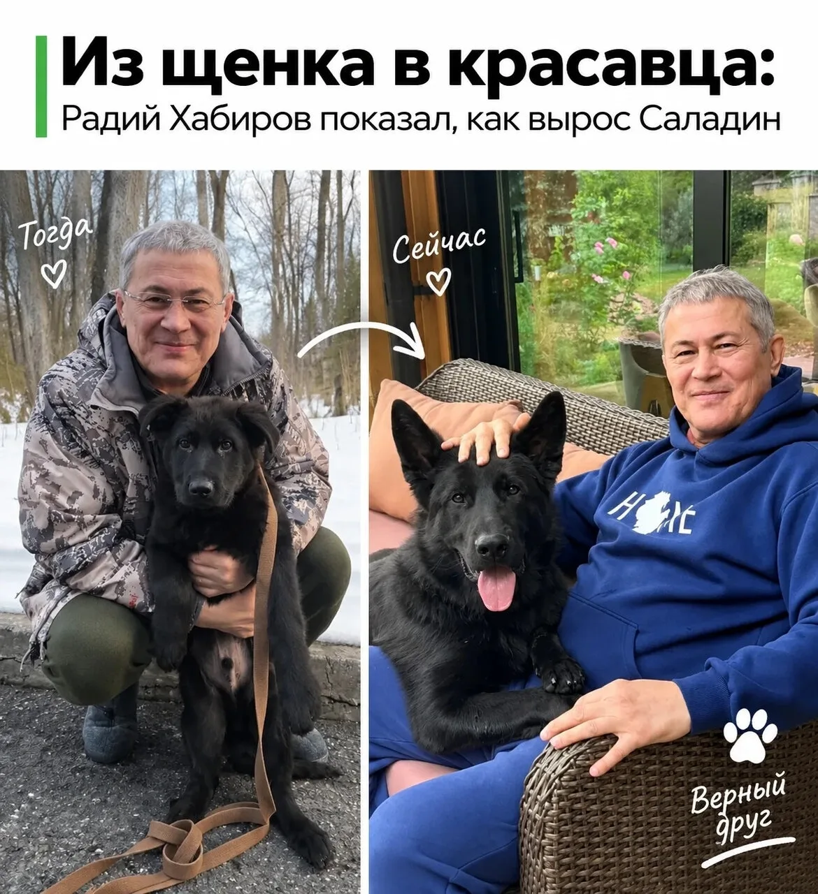 «Растёт»: Радий Хабиров показал, как подрос его пёс Саладин