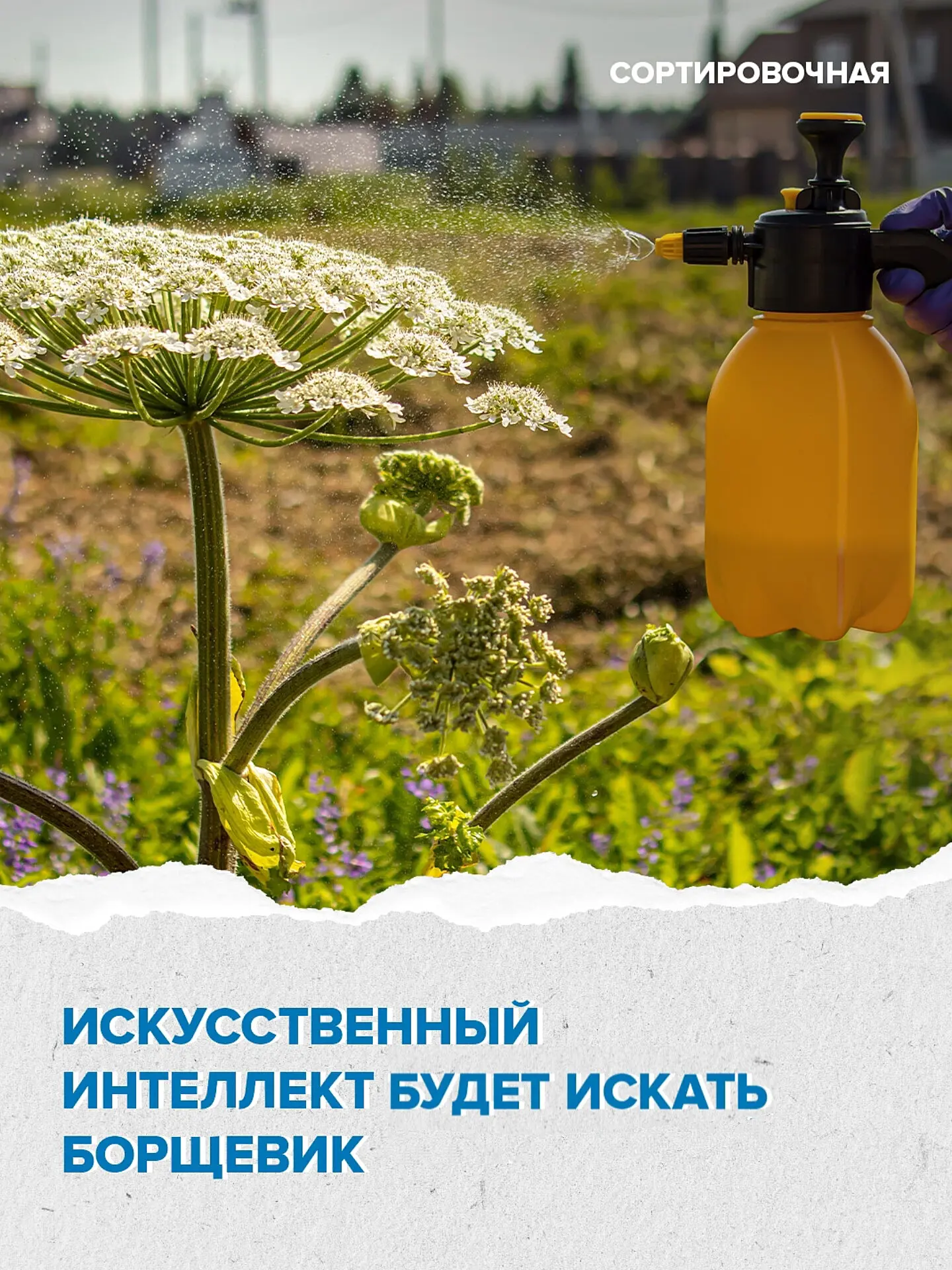 ✅ 🤖 В России запущен ИИ-сервис для выявления инвазивных растений по спутниковым фото  Сообщается, чт
