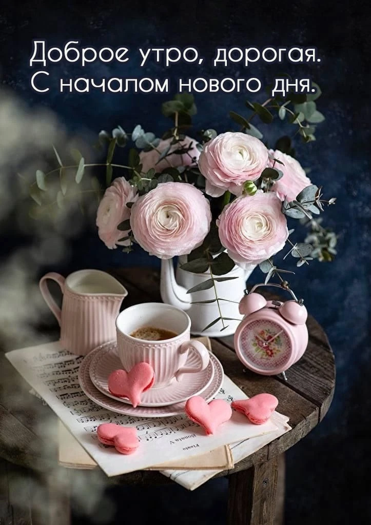 Доброе утро! Добрых людей, добрых поступков, добрых эмоций, доброго настроения, доброй погоды!


Кан