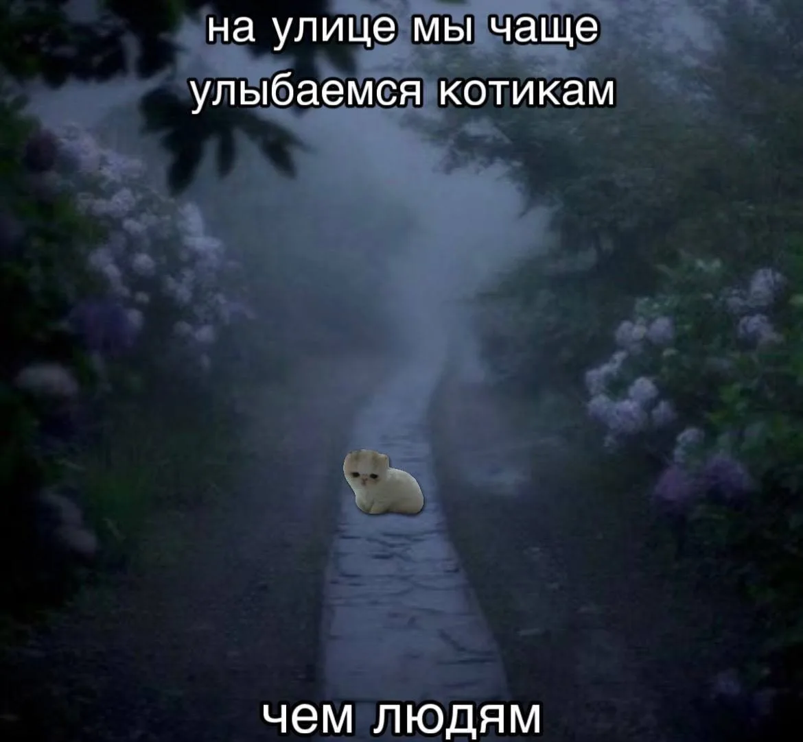 Мяу