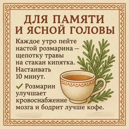 💚Отвар для памяти и ясной головы!

Сохраняй рецепт!

🌿Травник