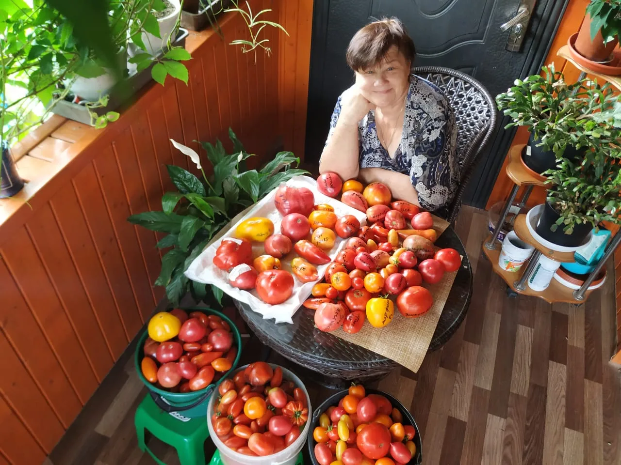 Все доброго урожайного утра ☀️!
Это фото одного из прошлых сезонов, но, я надеюсь, что и в этом году