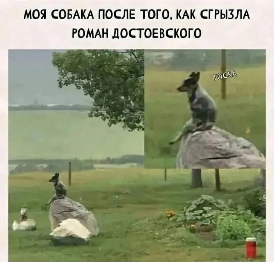 Доброй ночи, злющие😂♥