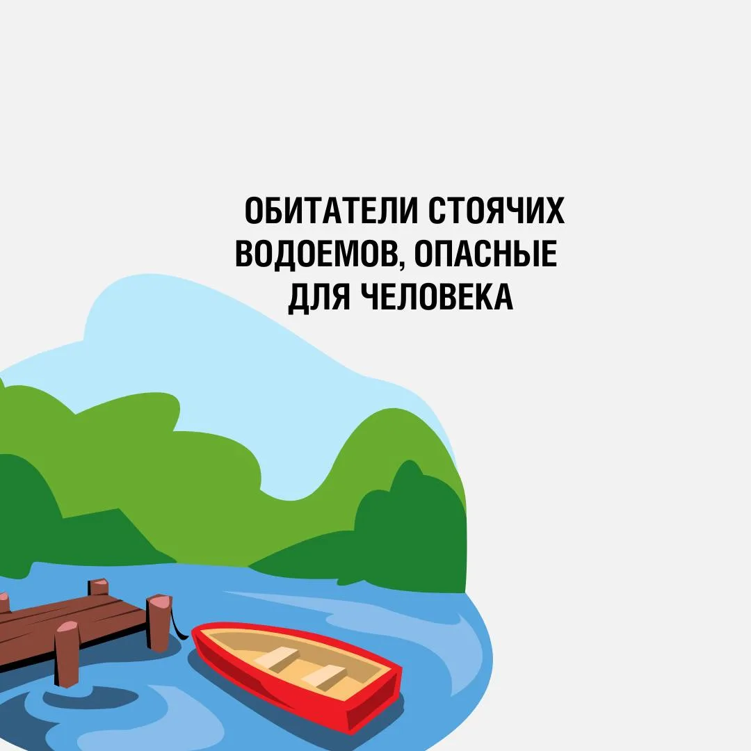 Не все водоемы пригодны для 🏊‍♂️ купания. Уверены, вы это прекрасно знаете. Но знаете ...