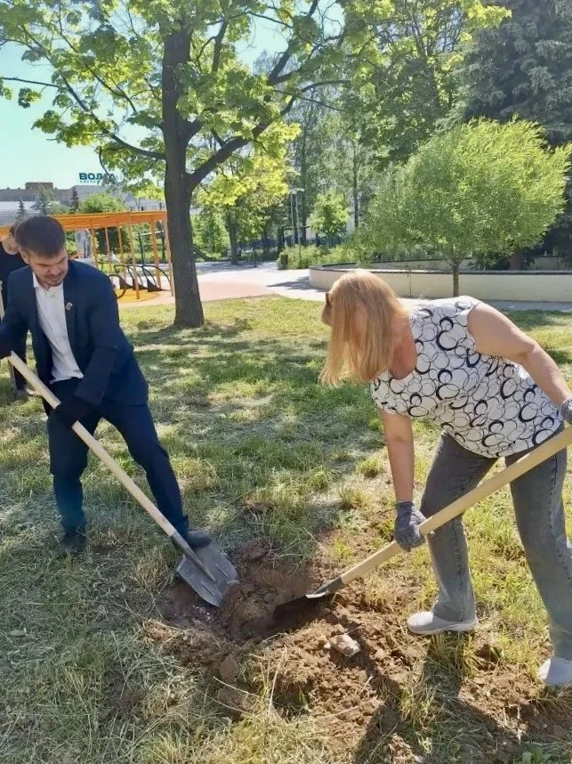 🌸 В Чебоксарах ветераны и школьники высадили сиреневую аллею, посвященную памяти хлопчатобумажного к
