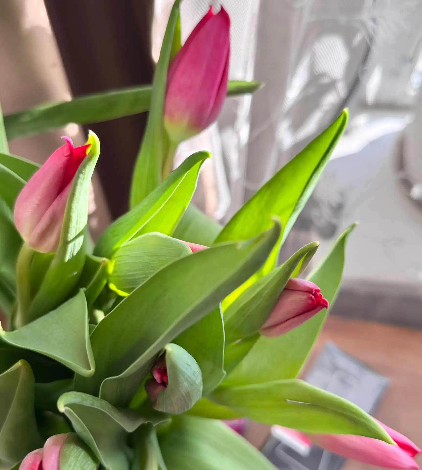Так приятно получать подарки, особенно, в такой чудесный солнечный день 🥰