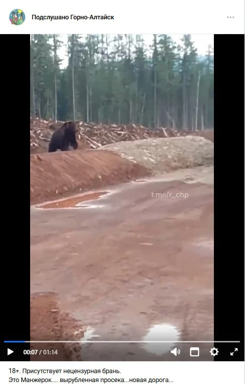 Ребята, я понимаю, что Манжерок для многих является больной темой, но зачем пытаться пр...