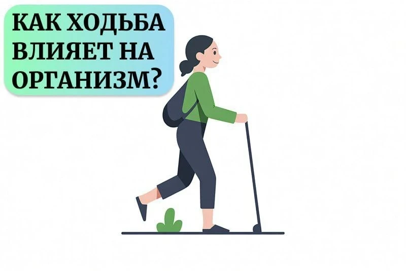 Как ходьба меняет нашу жизнь? 🚶‍♀️