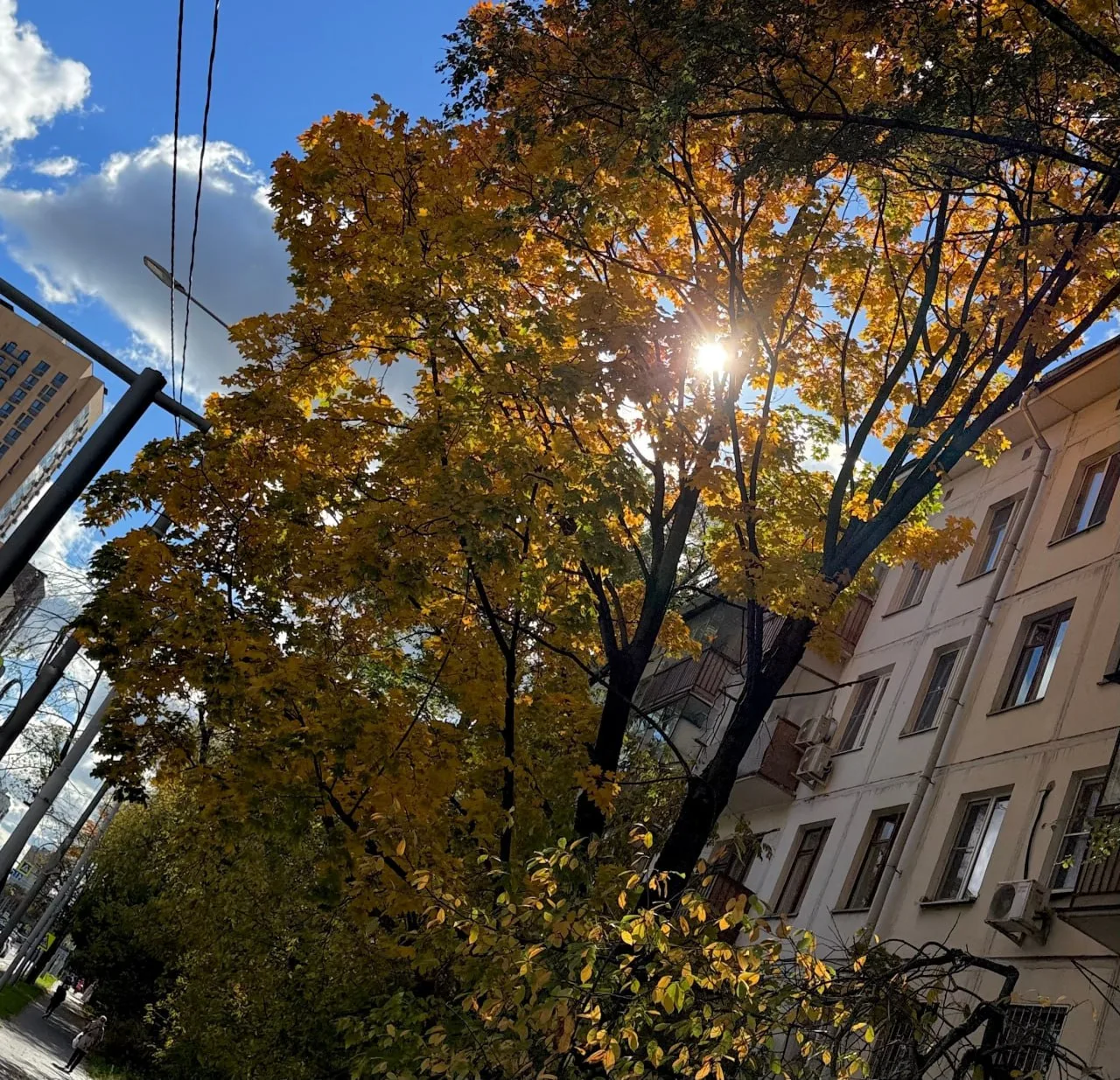 🍂Осеннее золото можно увидеть не только у Останкинской башни🍂