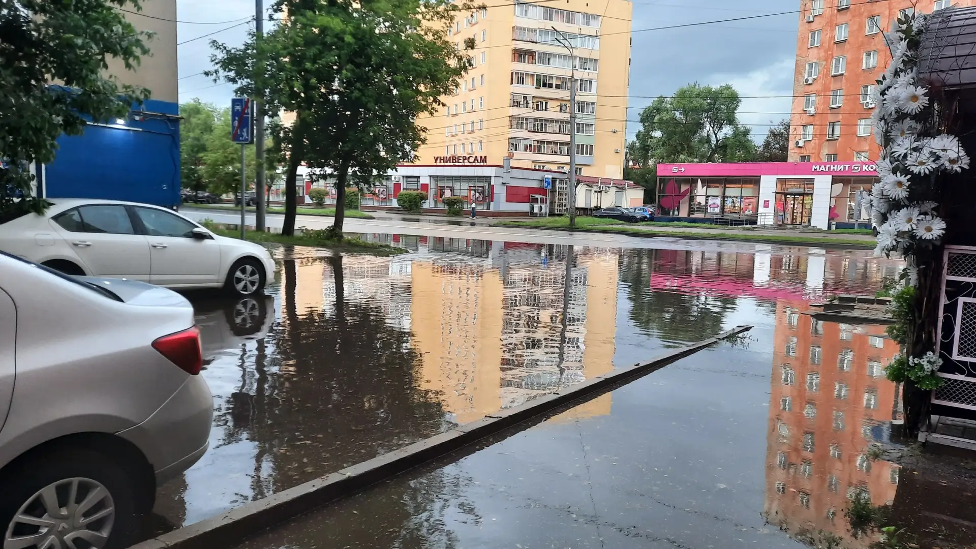 Каждый раз после дождя между домами 62 и 64 на проспекте Толбухина появляется такая огр...