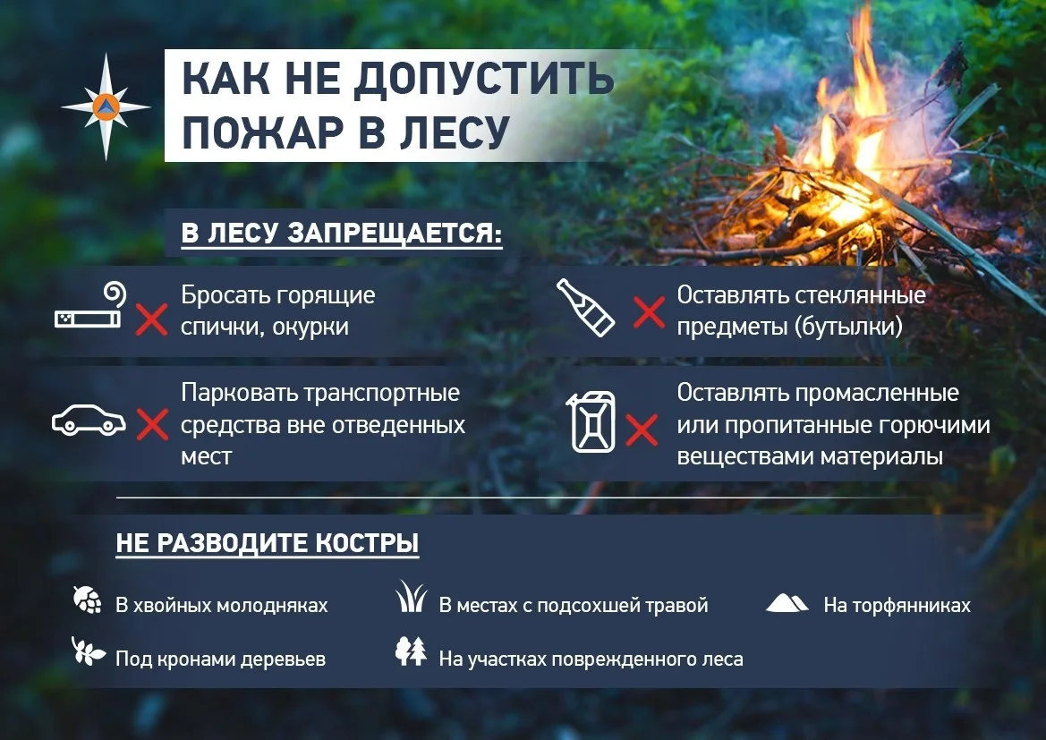 Высокая пожарная опасность лесов 4 класс местами в Самарской области с 28 августа по 2 ...
