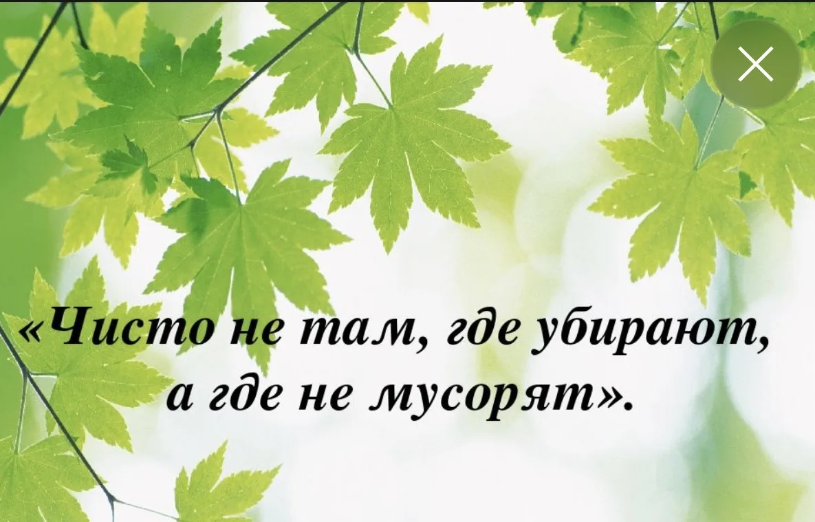 Чисто не там, где убирают, а там где не мусорят. (А.П.Чехов)