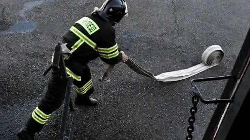 В Брянской области за сутки потушили два лесных и 16 техногенных пожаров