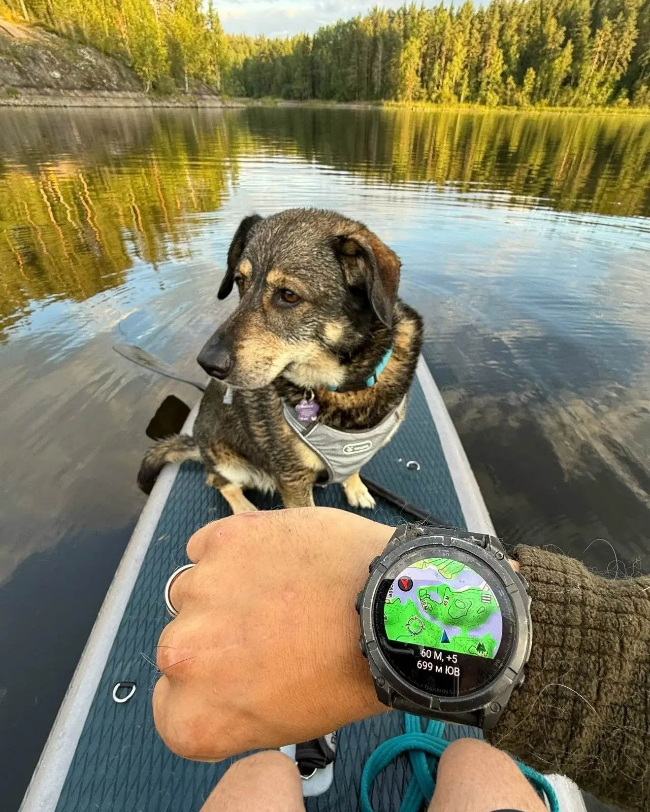 🐶День благодарности собаке отмечаем сегодня! Этот неофициальный праздник - повод побла...