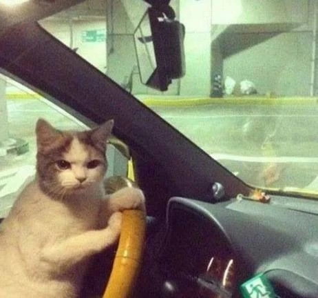 Для стоящих в очередях на АЗС водителей хотят отменить штрафы 🚗