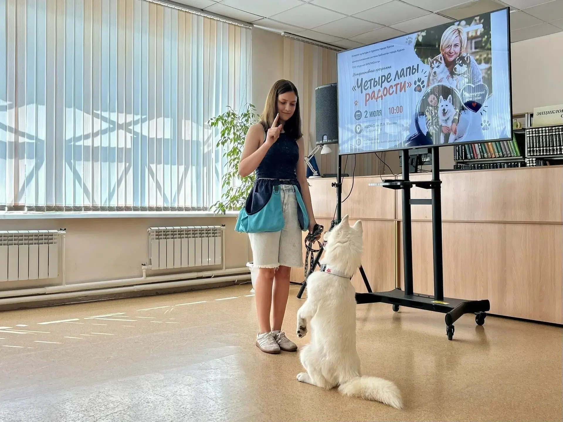 «Четыре лапы радости»: в Курске отметили Международный день собак