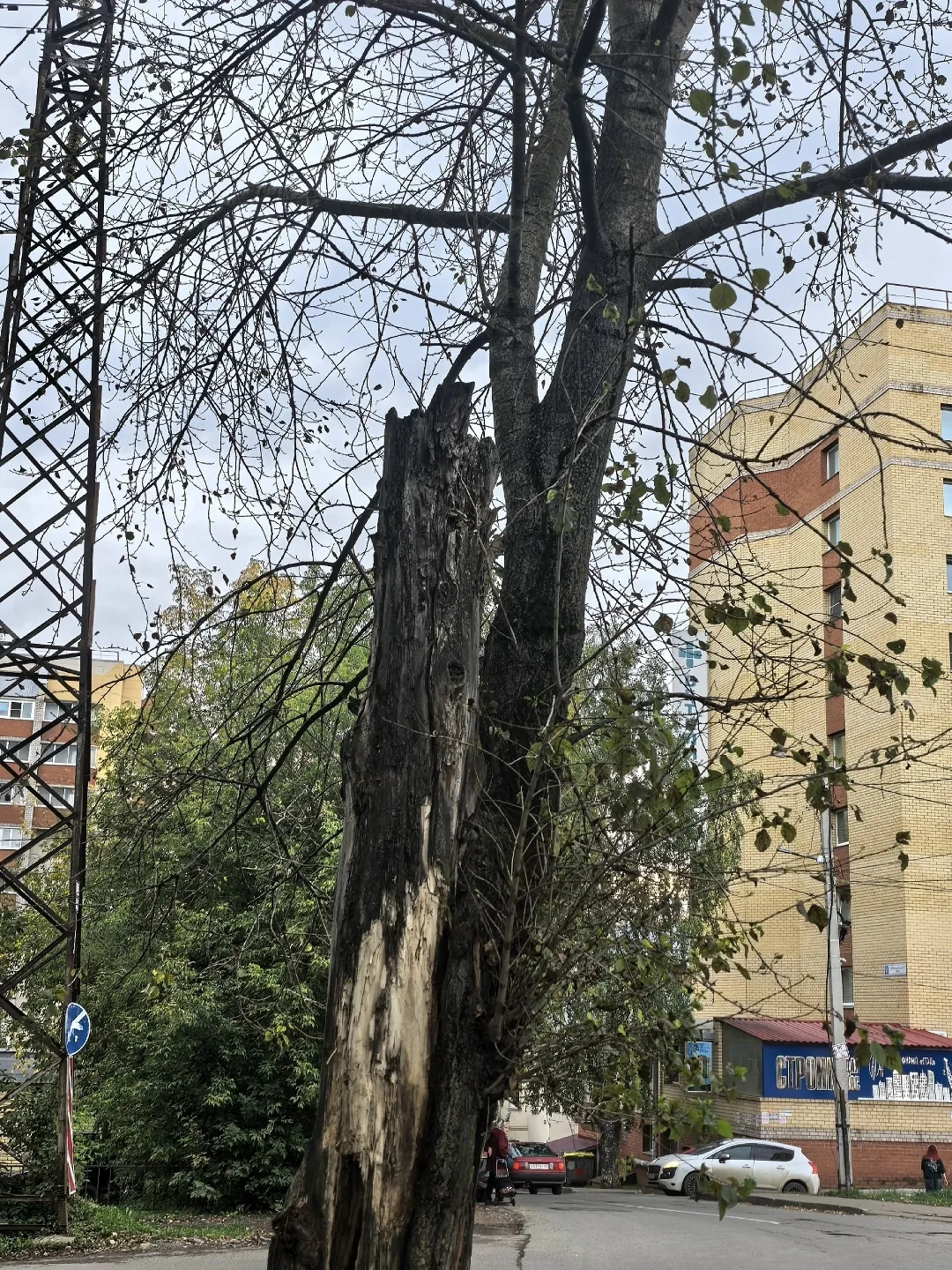 🌳 Жители микрорайона ОЦМ бьют тревогу! На перекрёстке улиц Стахановской и Чернышевског...