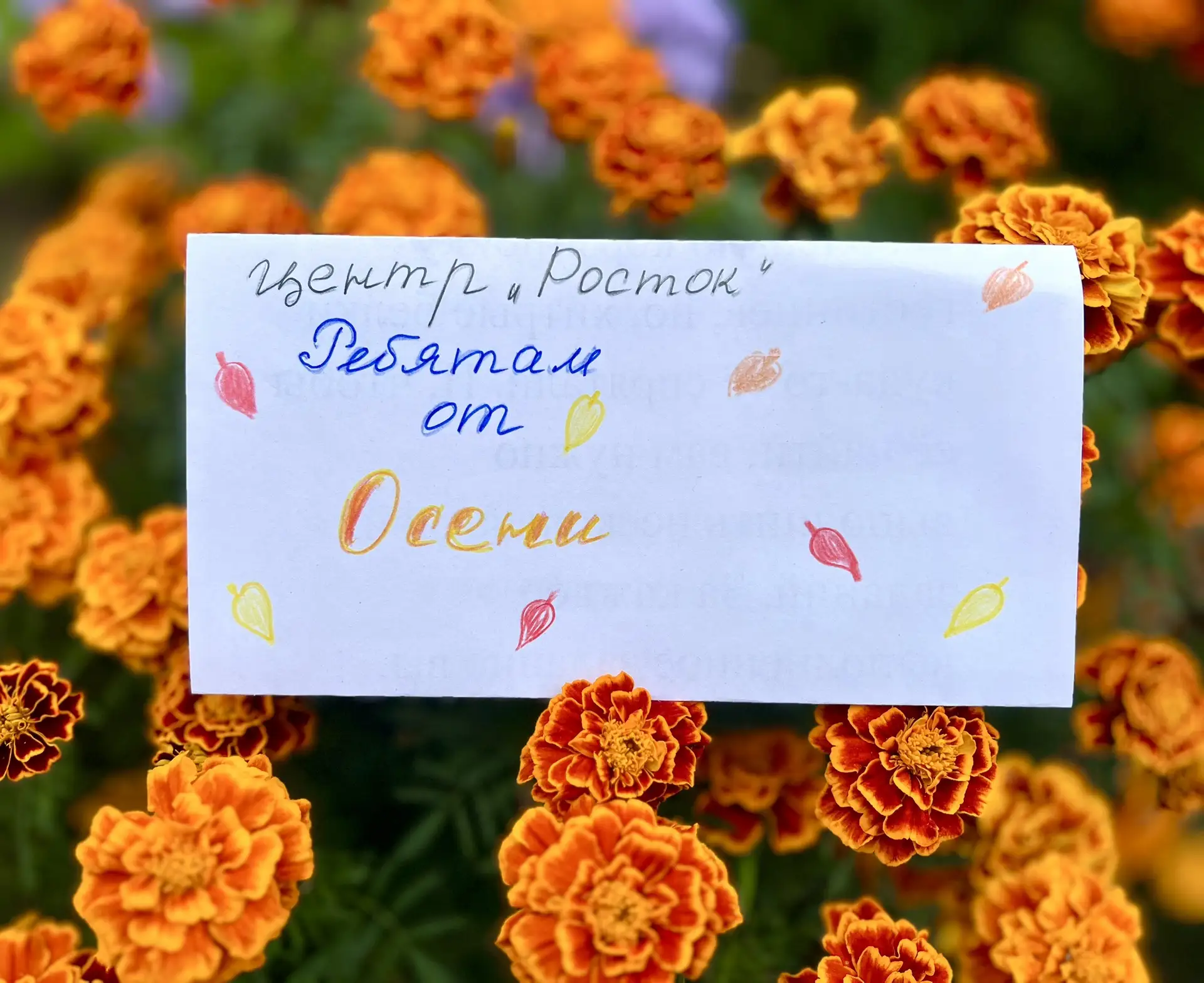 🍂 Осень — это не только лужи и серое небо, но и время настоящих чудес!