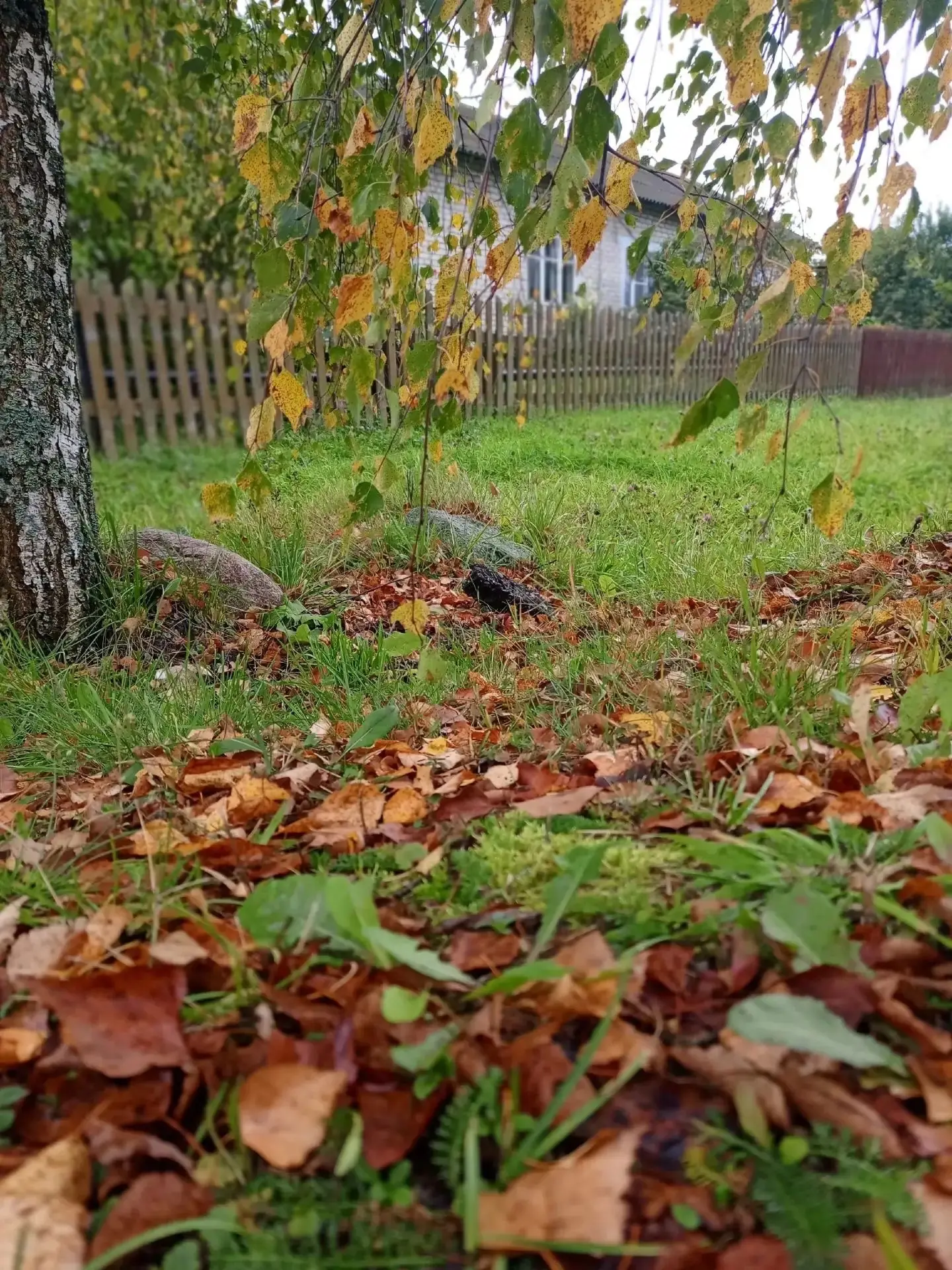 Иногда надо просто остановиться и вдохнуть осенний воздух города.