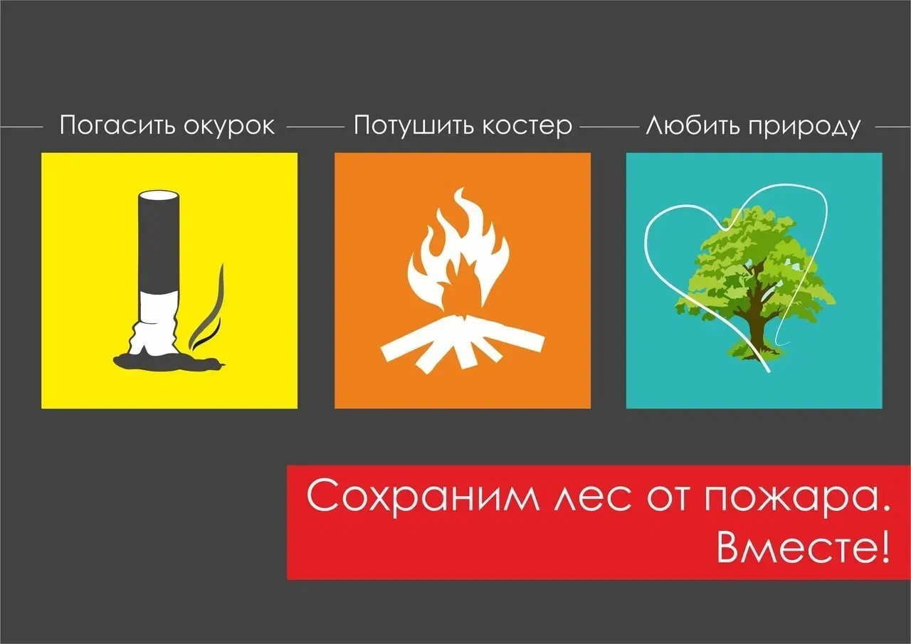 🌳Сохраняйте красоту природы, проявляя внимательность и уважение: затушите сигарету, уберите мусор, 