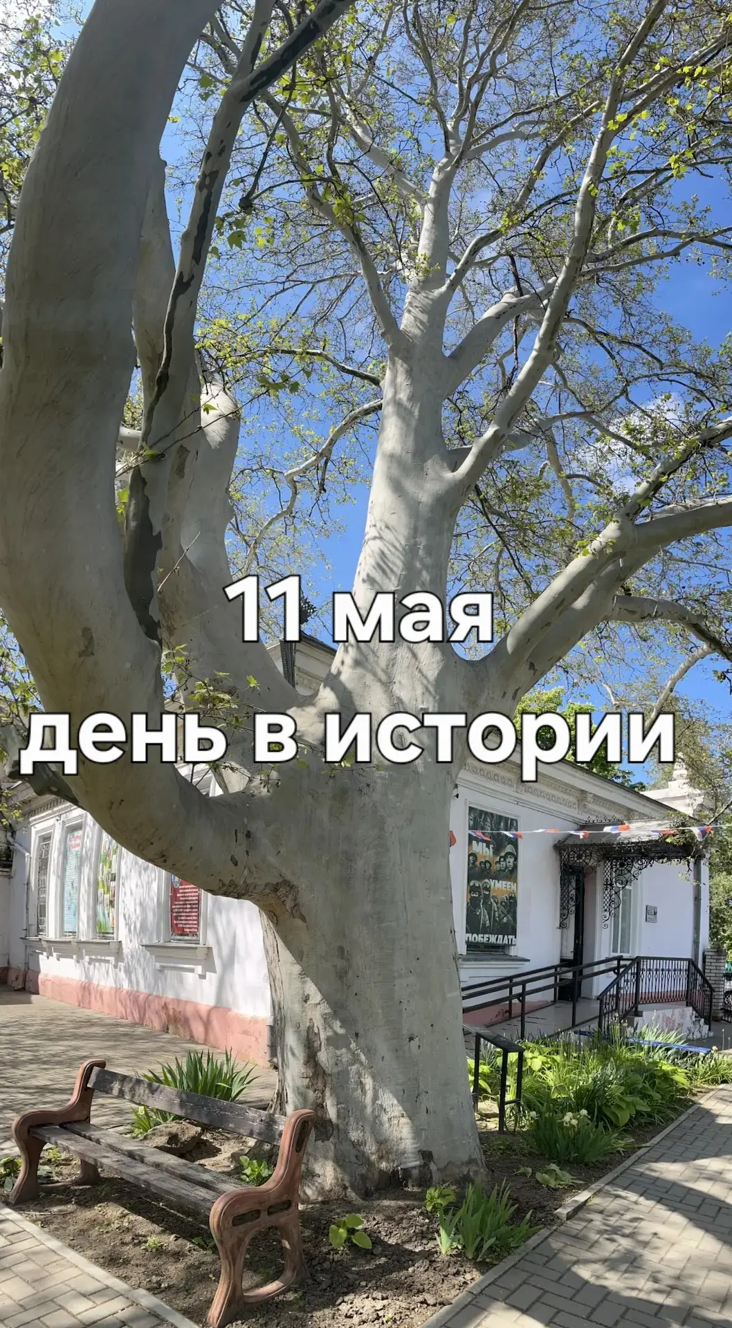 А знаете ли вы, что ❓