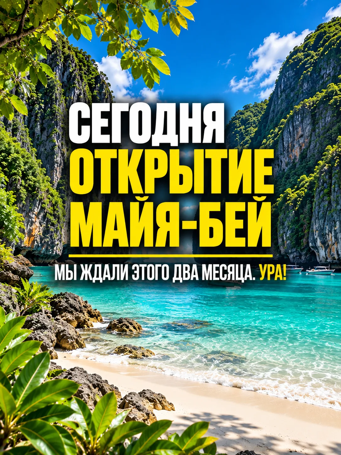 С 1 октября бухта Майя-Бэй на острове Пхи-Пхи-Лей снова принимает туристов. Два месяца ...