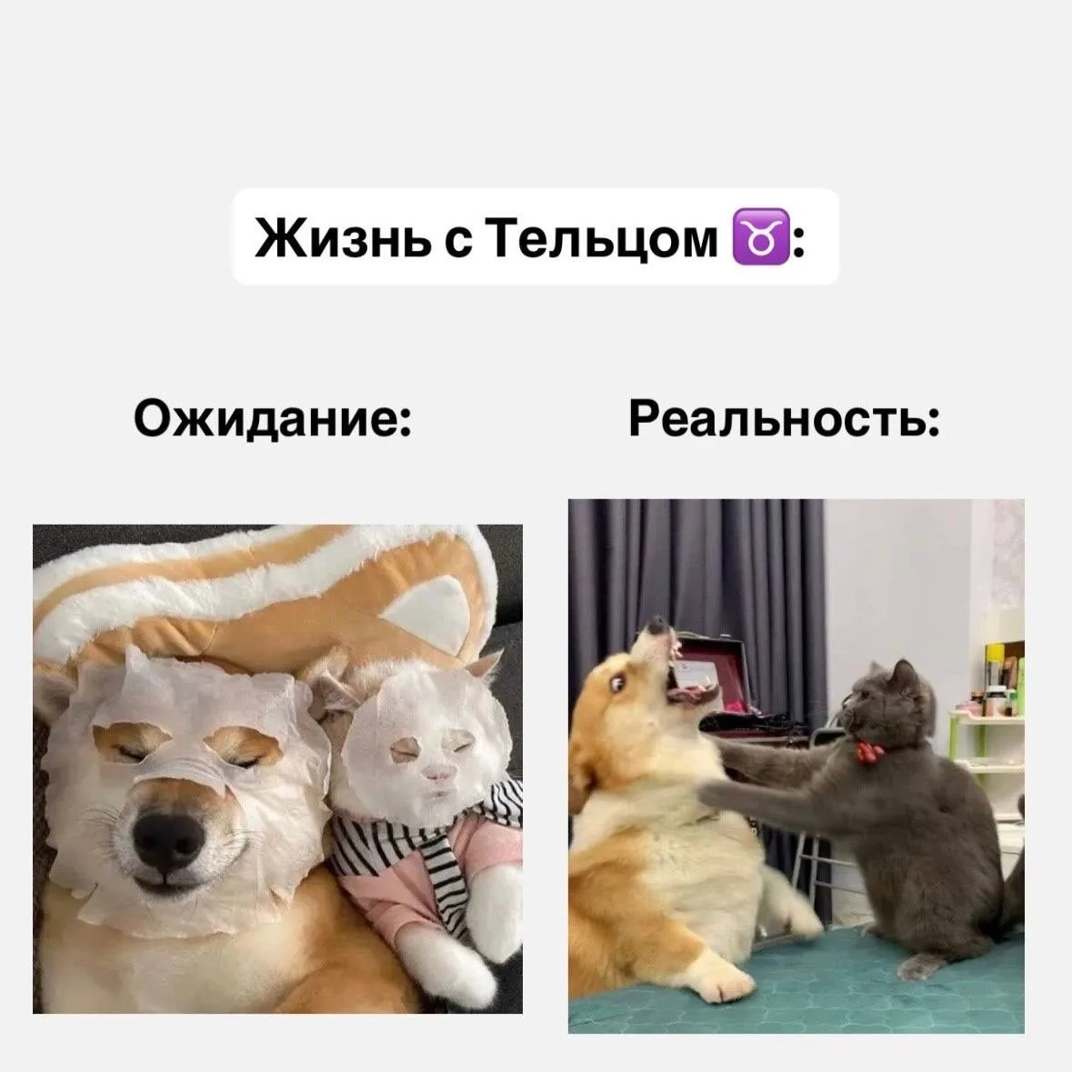 Жизнь со знаками зодиака, часть 1  Если согласны с постом, оставляйте реакцию ❤️  Астрология | Подпи