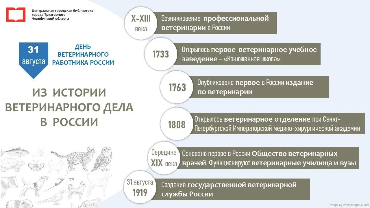 31 августа в нашей стране ежегодно отмечается День ветеринарного работника России.