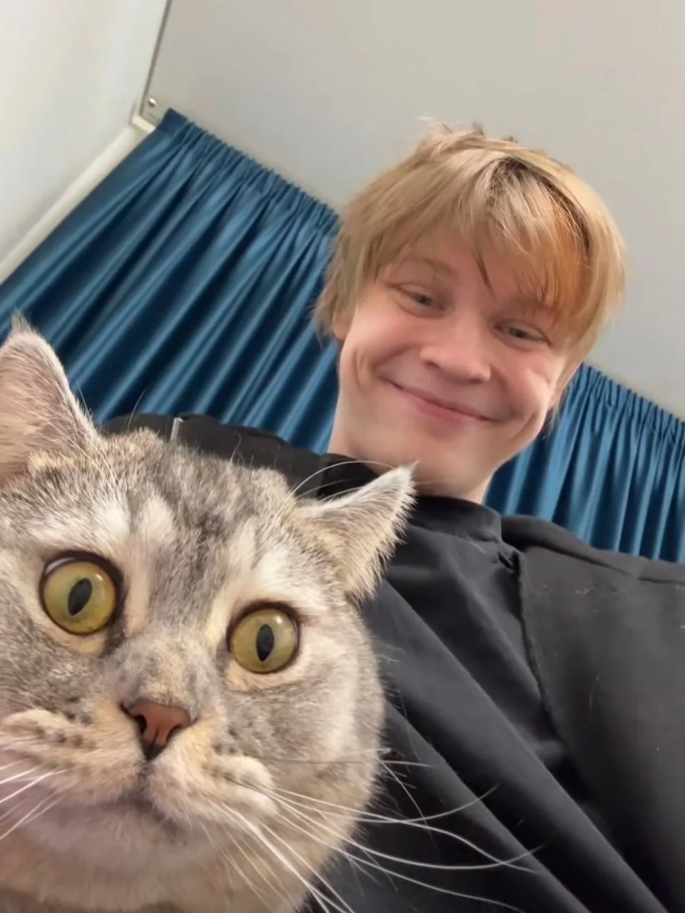 Дипинс с котом ❤️
