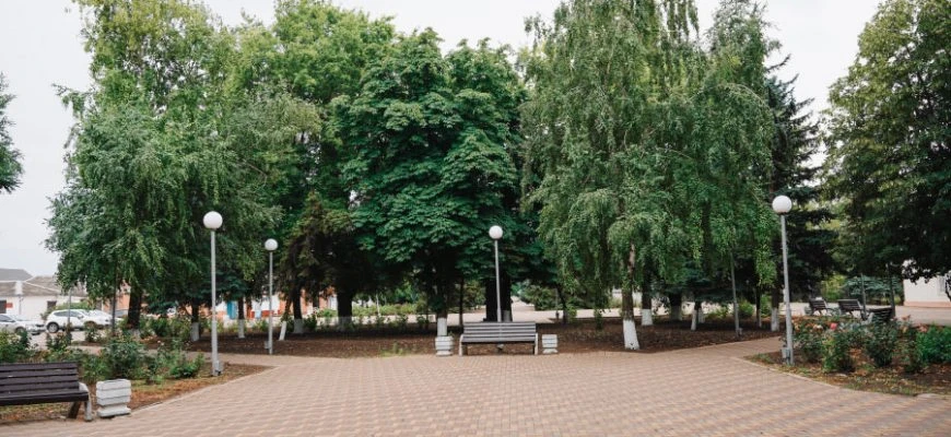 ☀️В первые дни августа в Целинском районе будут солнечно и жарко
 
⚡По прогнозам Росгидрометцентра б