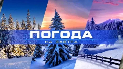31 января: облачная погода, снег, местами сильный, в отдельных районах метель. Ветер северо-восточны