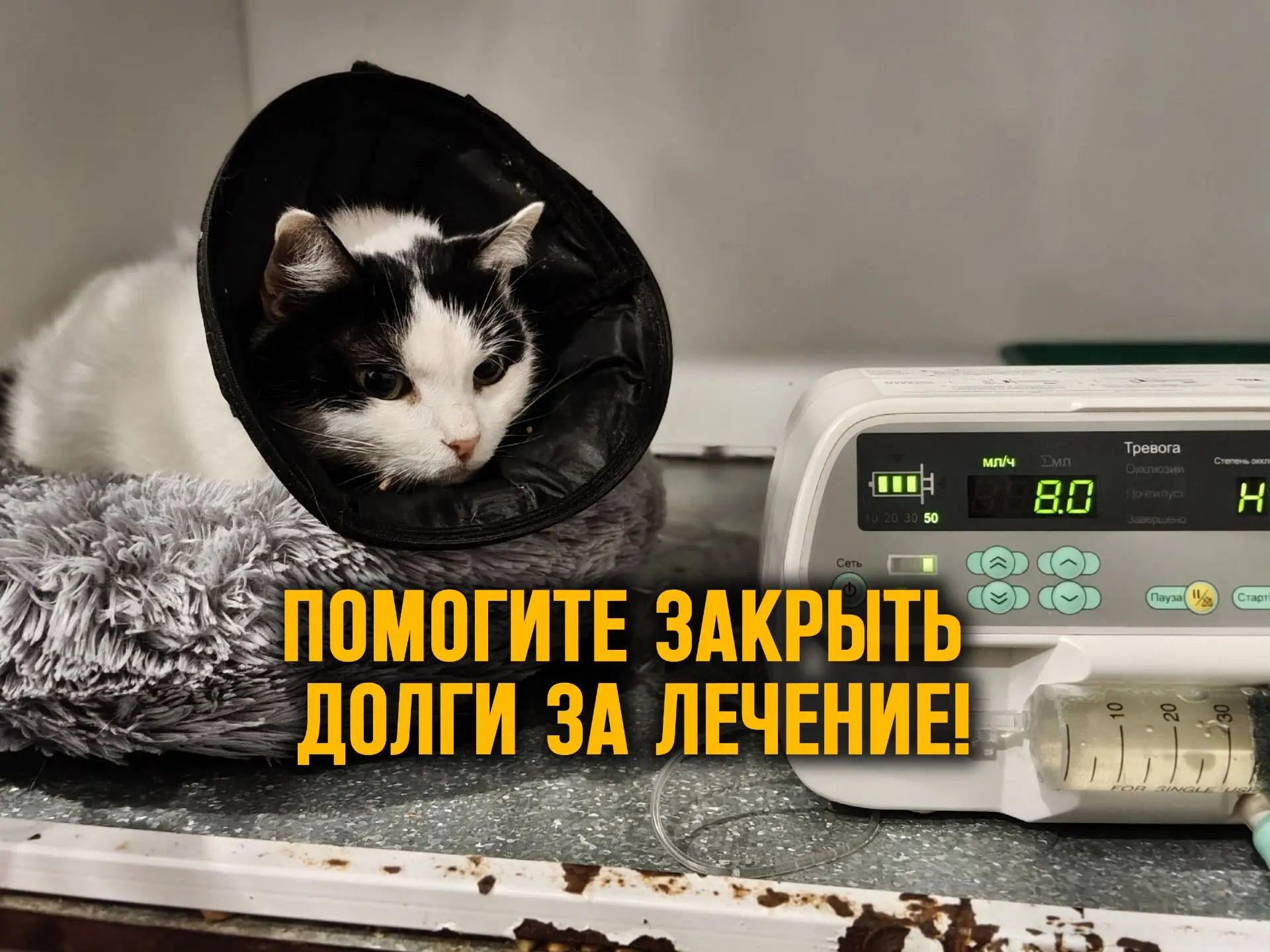 Друзья, у нас ОГРОМНАЯ ПРОСЬБА помочь нам!