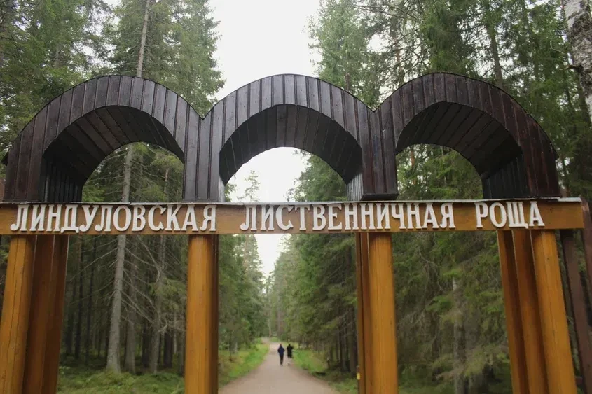 Вокруг Санкт-Петербурга красивая природа: смешанные и хвойные леса, озёра, реки, болота, умеренный х