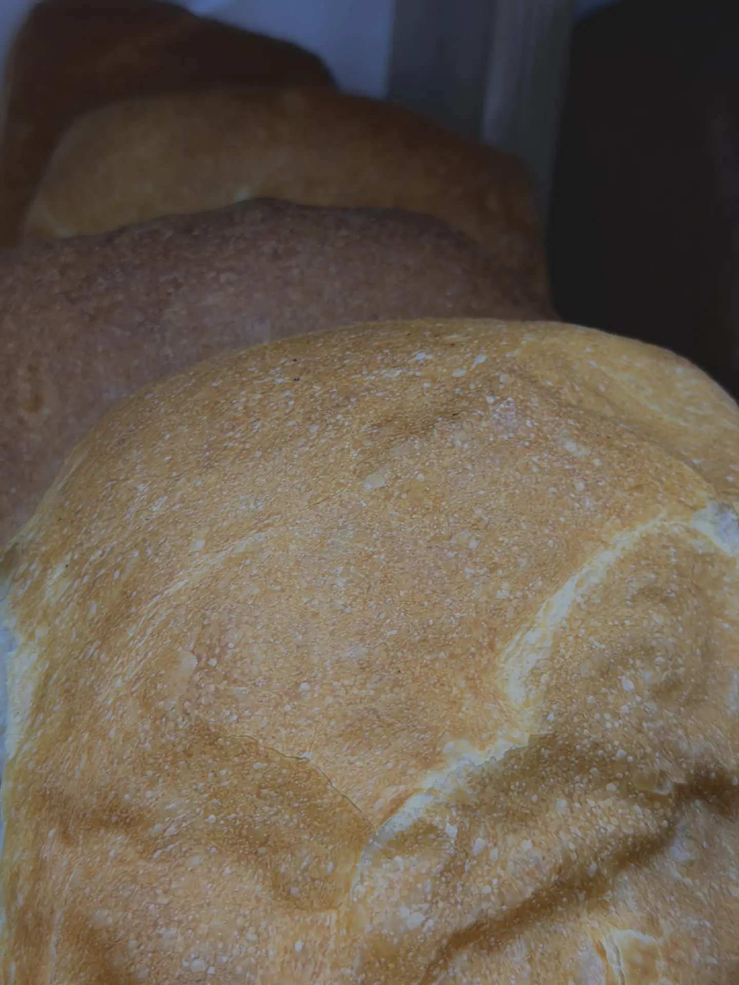 Интересные факты о профессии пекаря 🍞