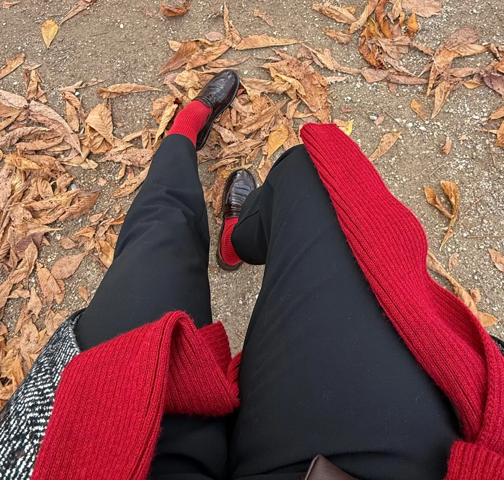 Осень постепенно сворачивает свои тёплые пледы 🍂