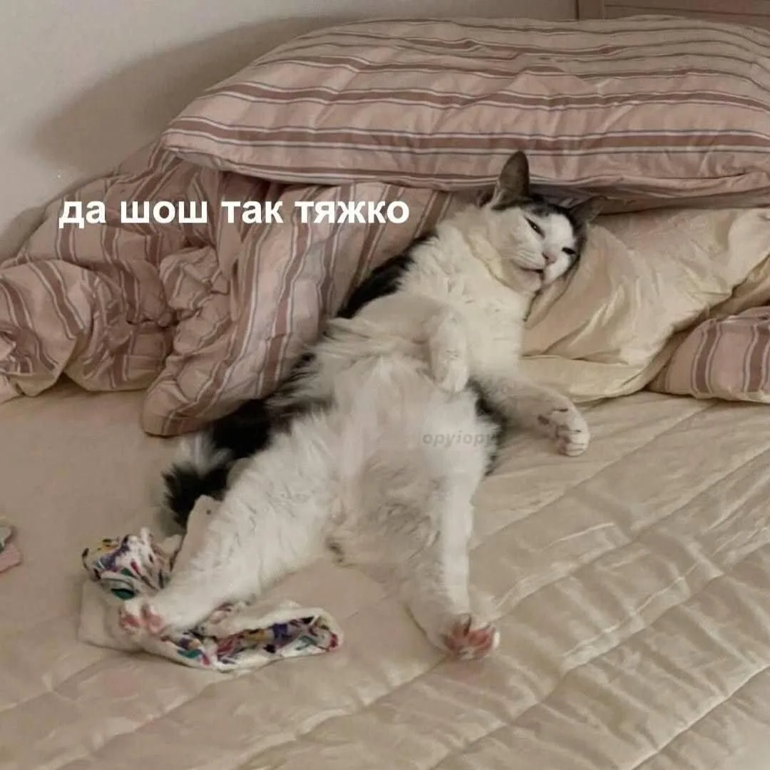 ⚡️🔮 Как вам такой нестандартный способ использовать таро?