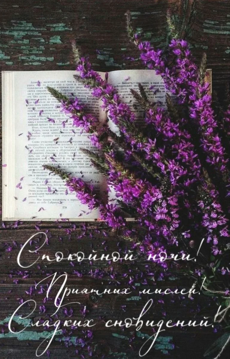 #спокойнойночи