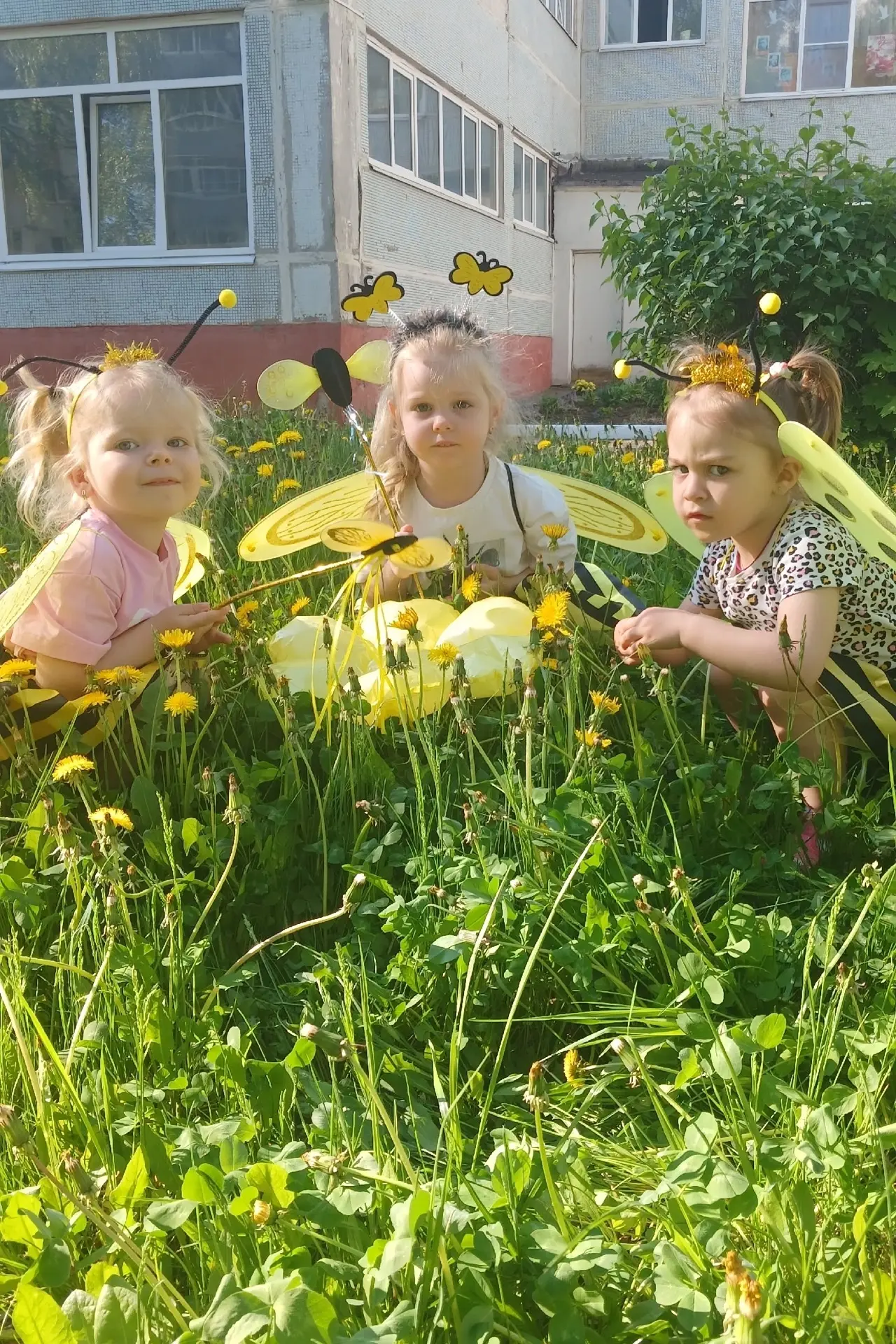 🐝«Пчелкин праздник»🐝