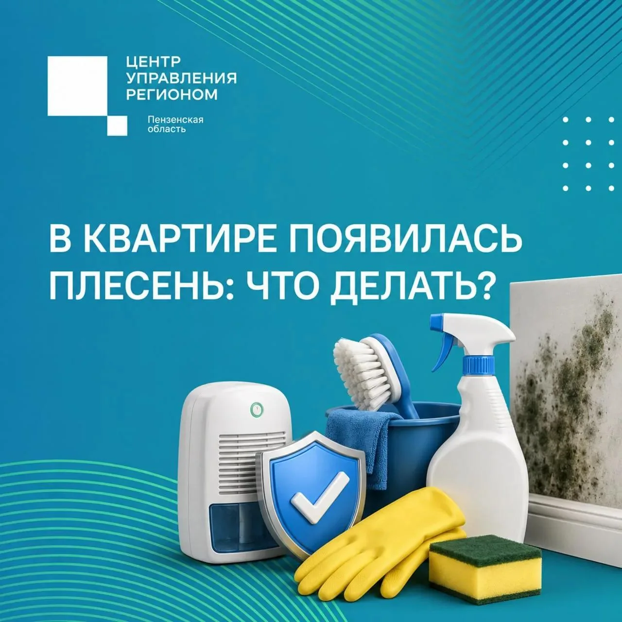 ❗️Плесень в квартире — не всегда проблема, которую собственник должен решать самостояте...