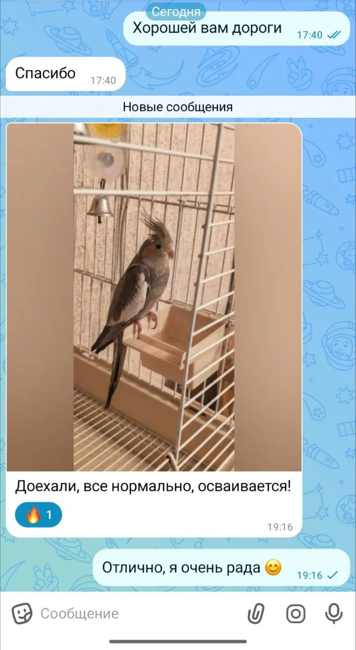 Ещё один Малыш, нашел свою семью 🥳🤗