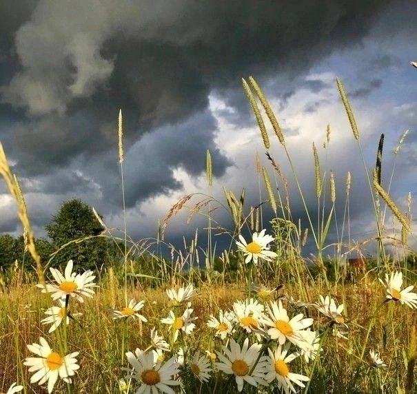 ⚡️ В ближайшие дни в республике прогнозируются неблагоприятные метеорологические явления.

❗ Местами