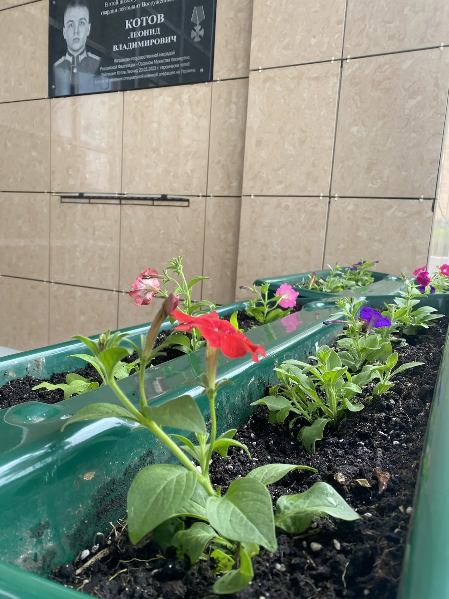 🌷🥀Старт проекта «Цвети, наш школьный двор». 🤝🔥Сегодня педагогический коллектив нашей школы принял ак
