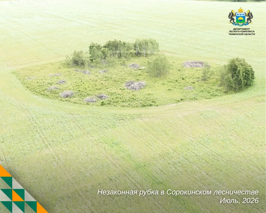 ⚠ В Сорокинском округе выявили крупную незаконную рубку с помощью беспилотника

Во время обследовани
