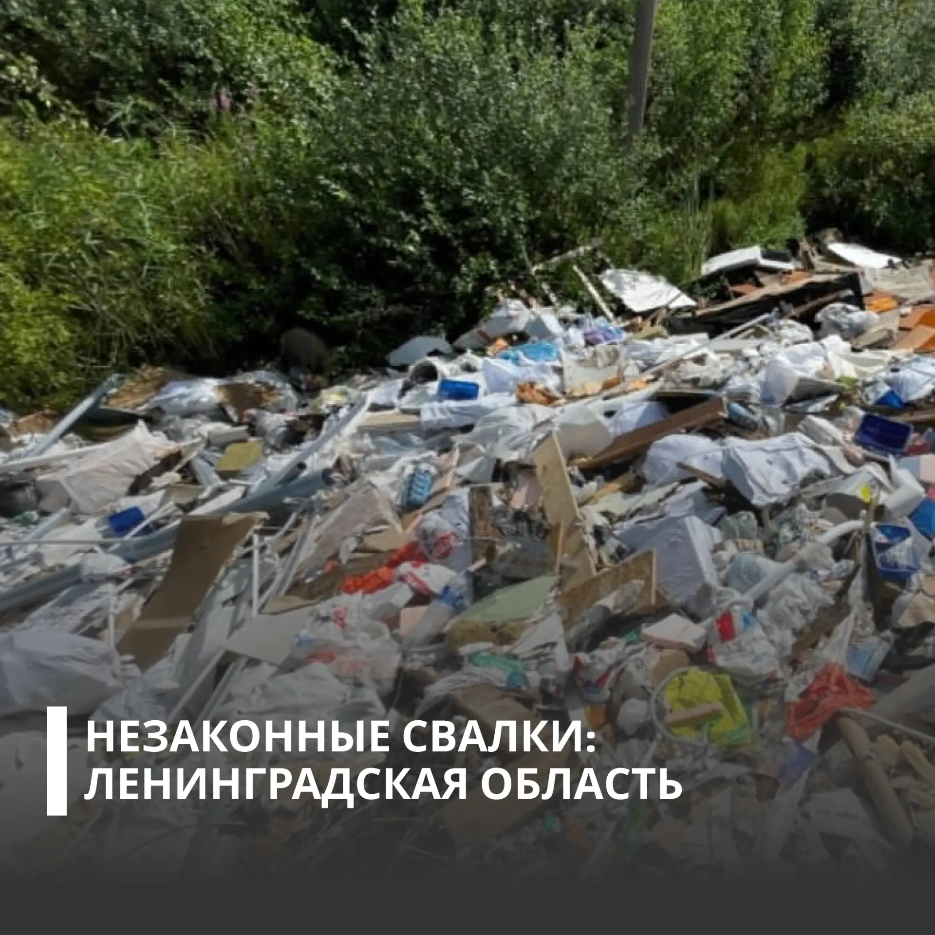 Суд поддержал требования Росприроднадзора о взыскании более 7 млн рублей с ООО «Санкт-Петербургская 