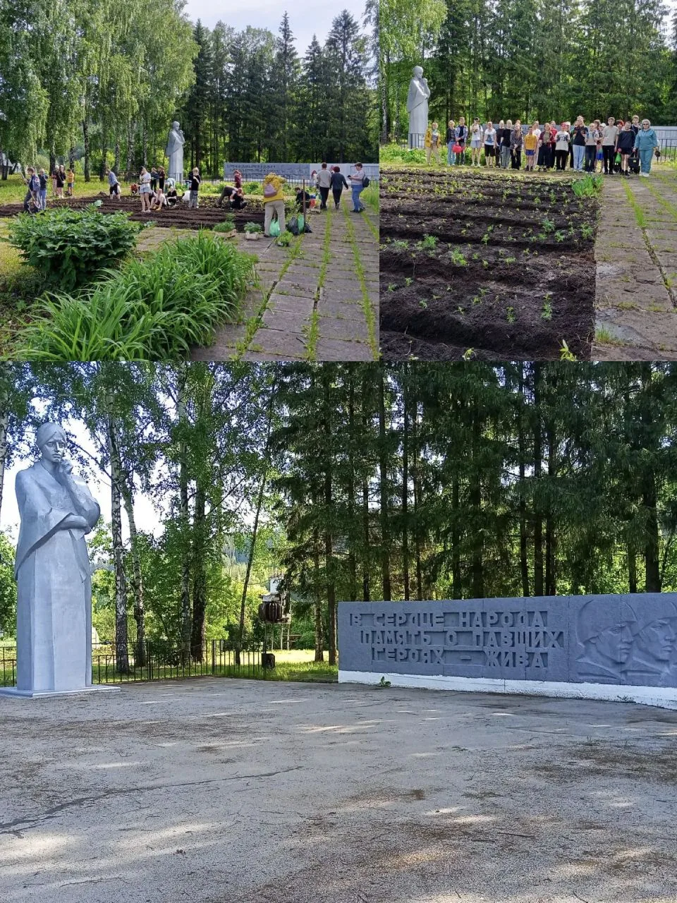 🌺Сегодня ребята участвовали в важном мероприятии-высадили рассаду однолетних цветов  у мемориала "С