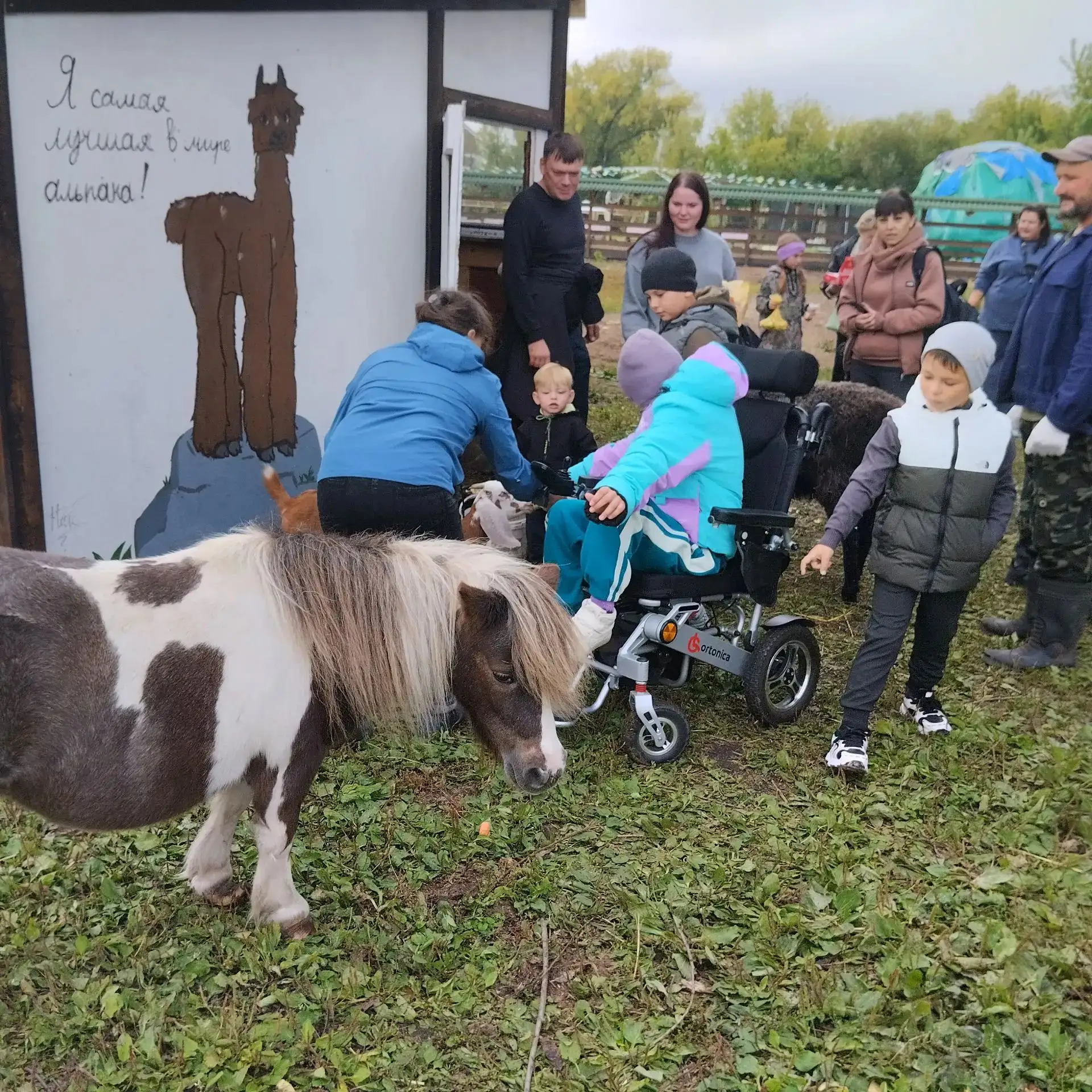 Путешествие по родному краю. Экопарк "Олений остров" р. п. Татищево🐒🦊🐎🦌