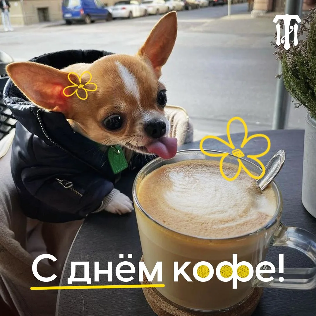 Сегодня – День кофе ☕️