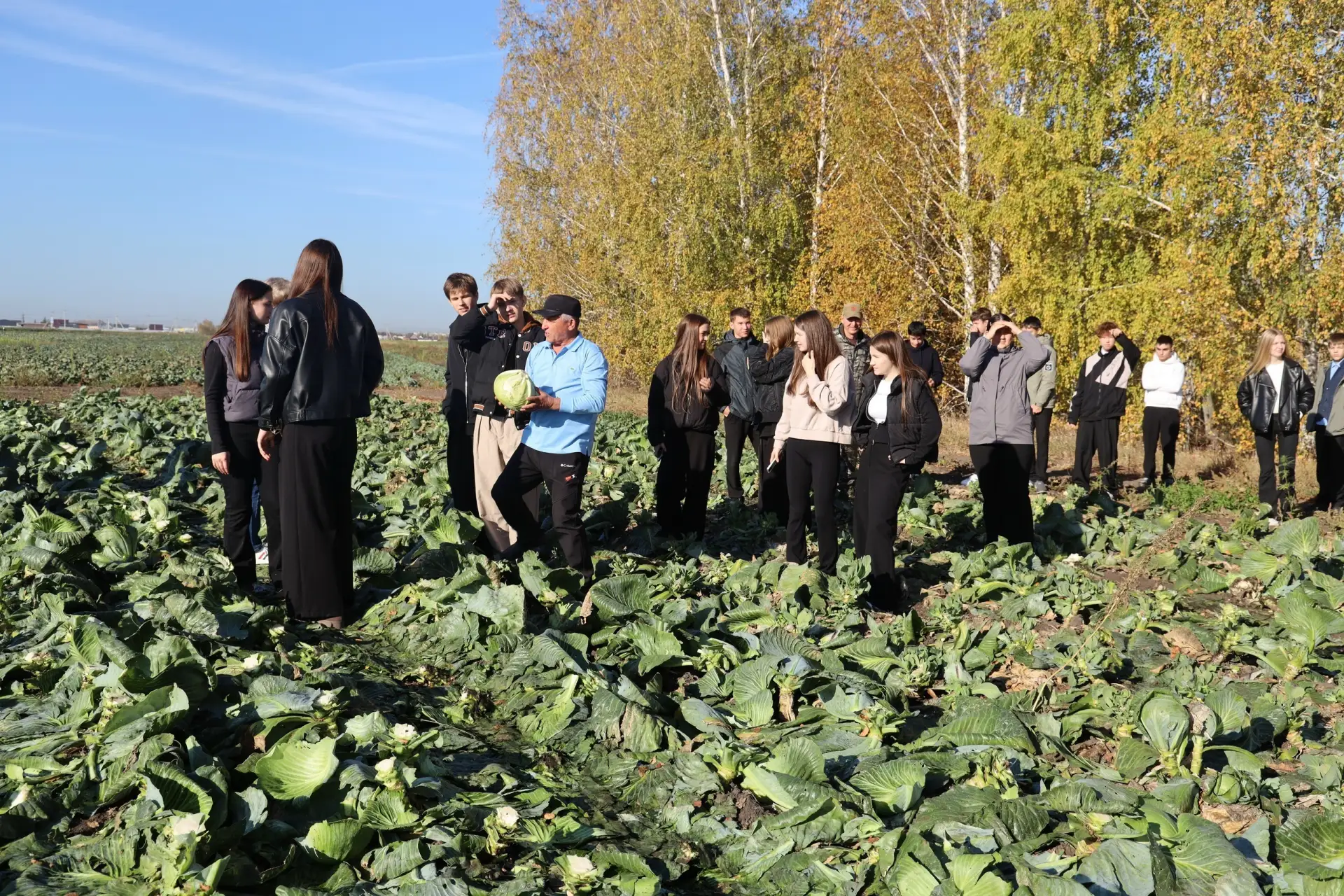 Школьники из Мальково побывали на уборке овощей 🥕🚜